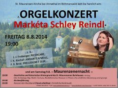 2014-08-08-maurenzen-orgelkonzertplus-maurenzenernacht.JPG